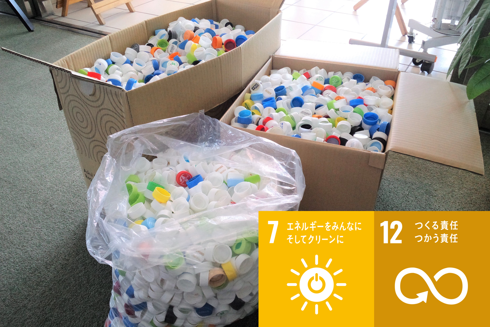 SDGs|ECOプロジェクト エコプロジェクト
