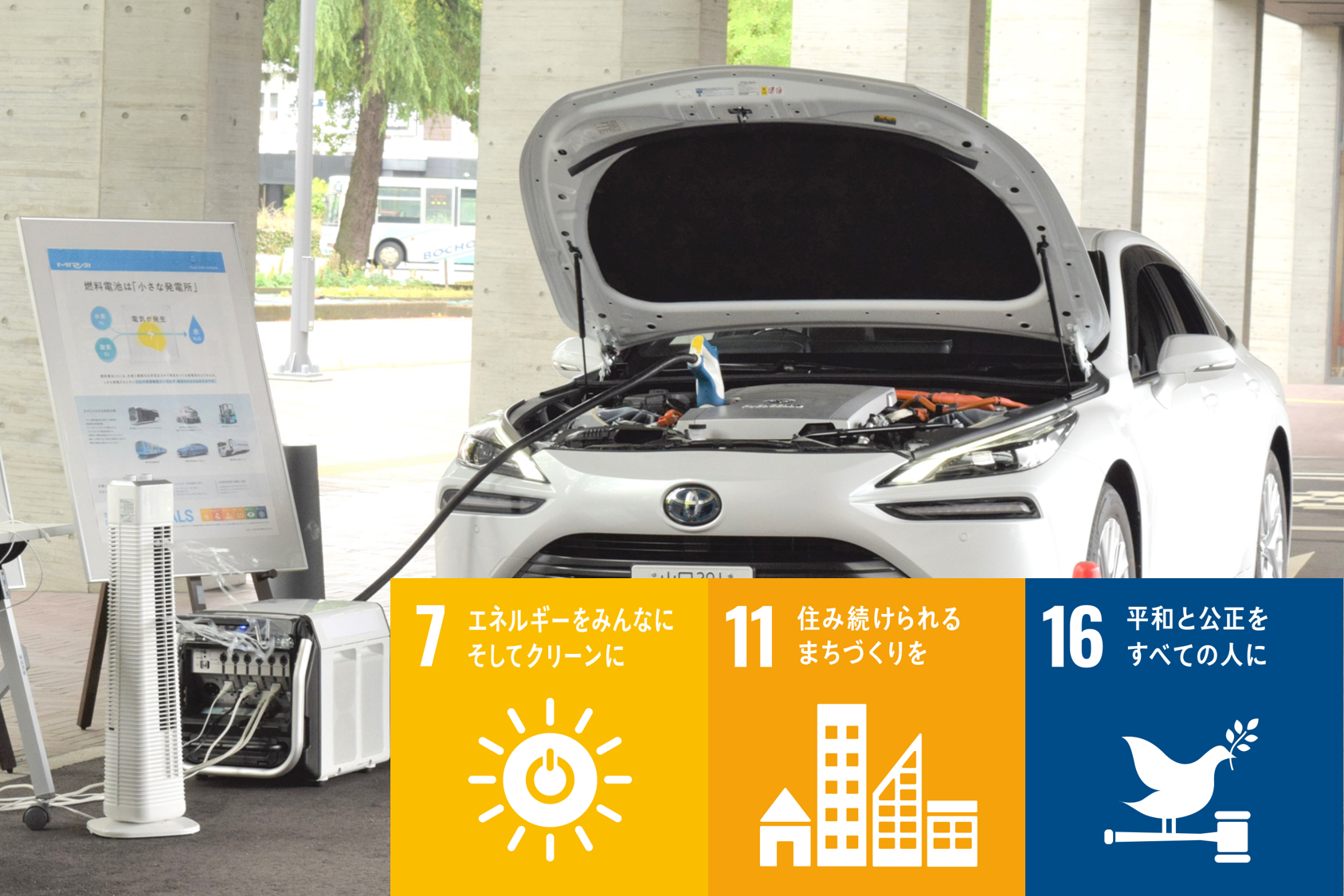 SDGS|非常事態への協力