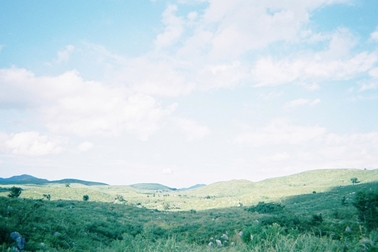 /file/cms/06501/496229/image.jpg